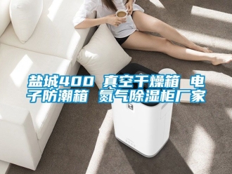 常見問題鹽城400℃真空干燥箱 電子防潮箱 氮氣除濕柜廠家