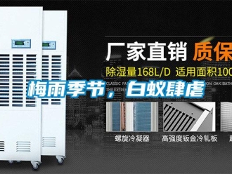 行業新聞梅雨季節，白蟻肆虐