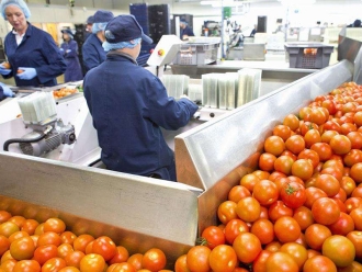 行業新聞過量濕度對食品加工和倉儲的影響