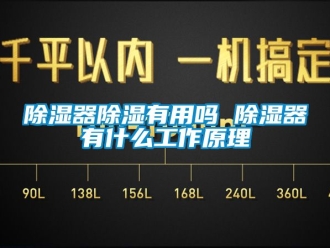 行業新聞除濕器除濕有用嗎 除濕器有什么工作原理