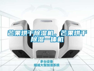 行業新聞芒果烘干除濕機，芒果烘干除濕一體機
