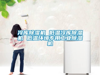 常見問題冷庫除濕機(jī) 低溫冷庫除濕機(jī) 低溫環(huán)境專用工業(yè)除濕機(jī)