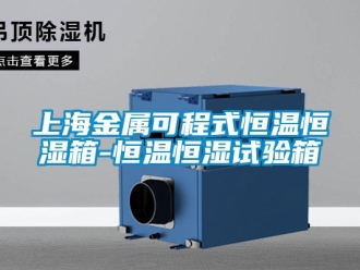 知識百科上海金屬可程式恒溫恒濕箱-恒溫恒濕試驗箱