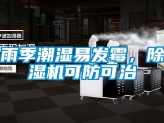 知識百科雨季潮濕易發霉，除濕機可防可治