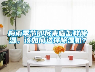 常見問題梅雨季節即將來臨怎樣除濕，該如何選擇除濕機？
