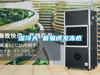 知識百科濕冷天 最易誘發凍瘡