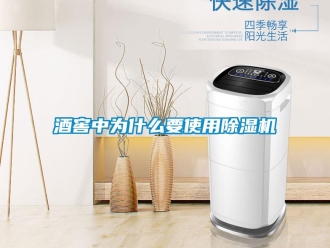 行業新聞酒窖中為什么要使用除濕機