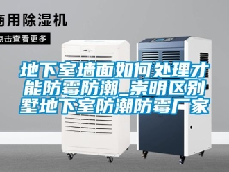 企業(yè)新聞地下室墻面如何處理才能防霉防潮_崇明區(qū)別墅地下室防潮防霉廠家