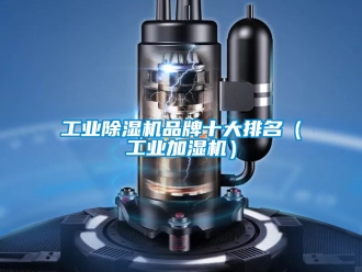 常見問題工業除濕機品牌十大排名（工業加濕機）