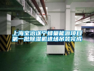 行業新聞上海寶冶遂寧蜂巢能源項目第一批除濕機進場吊裝完成