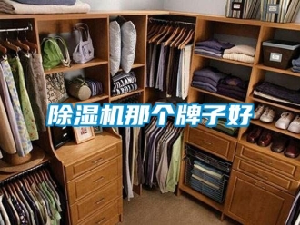 行業新聞除濕機那個牌子好