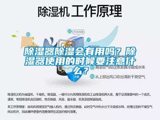 行業新聞除濕器除濕會有用嗎？除濕器使用的時候要注意什么？