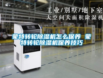 常見問(wèn)題蒙特轉(zhuǎn)輪除濕機(jī)怎么保養(yǎng) 蒙特轉(zhuǎn)輪除濕機(jī)保養(yǎng)技巧