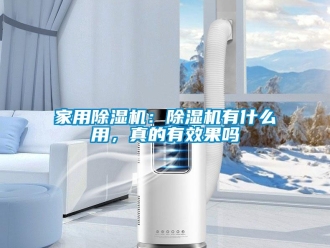 常見問題家用除濕機：除濕機有什么用，真的有效果嗎