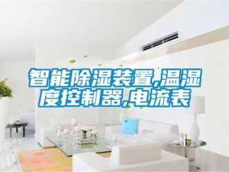 行業新聞智能除濕裝置,溫濕度控制器,電流表