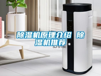 行業新聞除濕機原理介紹 除濕機推薦