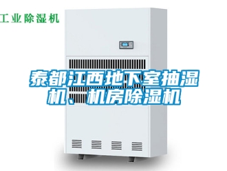 行業新聞泰都江西地下室抽濕機、機房除濕機