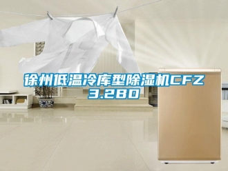 行業新聞徐州低溫冷庫型除濕機CFZ3.2BD