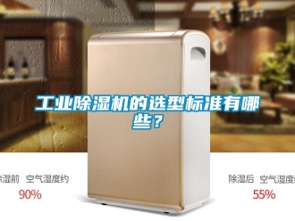 企業(yè)新聞工業(yè)除濕機(jī)的選型標(biāo)準(zhǔn)有哪些？