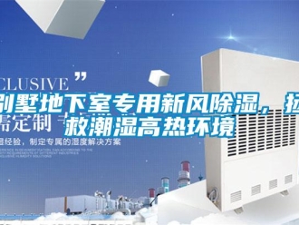 企業新聞別墅地下室專用新風除濕，拯救潮濕高熱環境