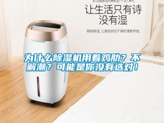 行業新聞為什么除濕機用著雞肋？不解潮？可能是你沒有選對！