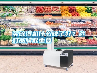 行業新聞買除濕機什么牌子好？選對品牌很重要
