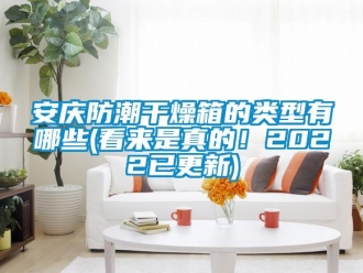 企業新聞安慶防潮干燥箱的類型有哪些(看來是真的！2022已更新)