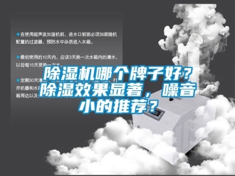 行業新聞除濕機哪個牌子好？除濕效果顯著，噪音小的推薦？