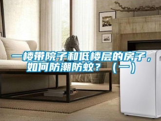 常見問題一樓帶院子和低樓層的房子，如何防潮防蚊？（一）