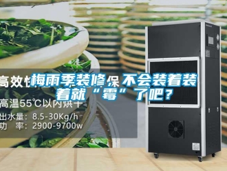 行業(yè)新聞梅雨季裝修，不會(huì)裝著裝著就“霉”了吧？