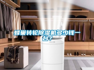 常見問題蜂巢轉輪除濕機多少錢一臺？