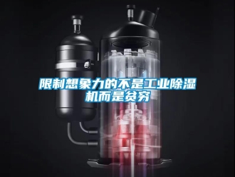 知識百科限制想象力的不是工業(yè)除濕機(jī)而是貧窮