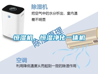 行業新聞恒濕機，恒濕凈化一體機