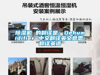 企業新聞除濕機 的翻譯是：Dehumidifier 中文翻譯英文意思，翻譯英語