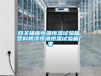 知識百科開關插座恒溫恒濕試驗箱 塑料烤漆恒溫怛濕試驗箱廠家
