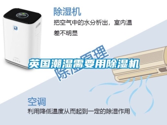 行業新聞英國潮濕需要用除濕機