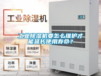 常見問題工業除濕機要怎么維護才能延長使用壽命？