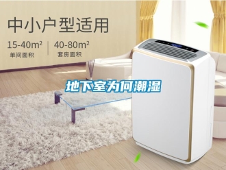 企業新聞地下室為何潮濕