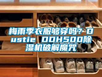 行業(yè)新聞梅雨季衣服夠穿嗎？Dustie DDH500除濕機(jī)破解魔咒