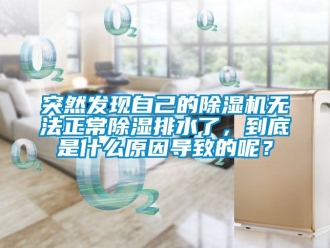 行業新聞突然發現自己的除濕機無法正常除濕排水了，到底是什么原因導致的呢？