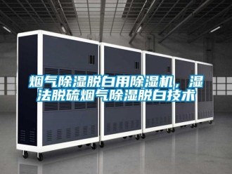 知識百科煙氣除濕脫白用除濕機，濕法脫硫煙氣除濕脫白技術