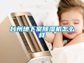 行業(yè)新聞臺州地下室除濕機(jī)怎么樣