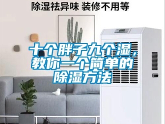 企業(yè)新聞十個胖子九個濕，教你一個簡單的除濕方法