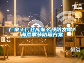 企業(yè)新聞廠家工廠倉庫怎么預(yù)防發(fā)霉？潮濕季節(jié)防霉方案