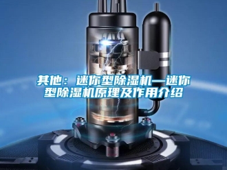 行業(yè)新聞其他：迷你型除濕機(jī)—迷你型除濕機(jī)原理及作用介紹