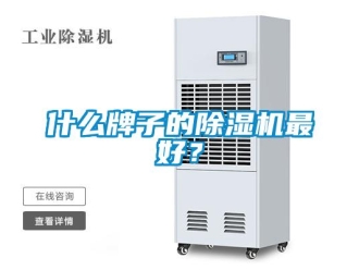 行業(yè)新聞什么牌子的除濕機(jī)最好？