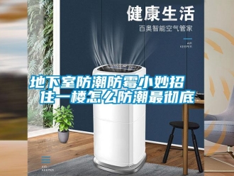 企業(yè)新聞地下室防潮防霉小妙招  住一樓怎么防潮最徹底
