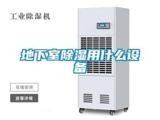 企業(yè)新聞地下室除濕用什么設(shè)備