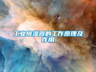 行業新聞工業除濕器的工作原理及作用