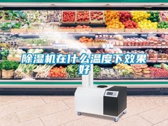 行業(yè)新聞除濕機(jī)在什么溫度下效果好